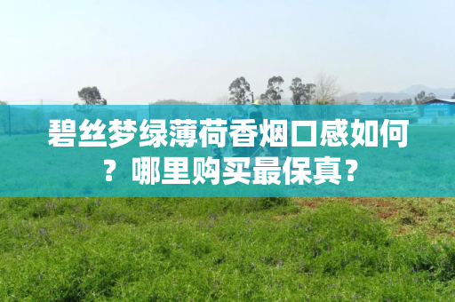 碧丝梦绿薄荷香烟口感如何？哪里购买最保真？
