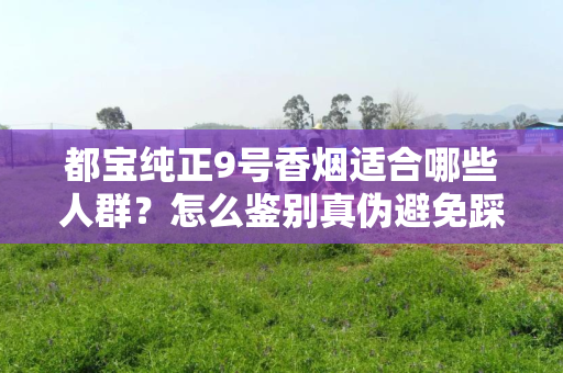 都宝纯正9号香烟适合哪些人群？怎么鉴别真伪避免踩坑？
